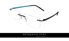 Reykjavik Eron men's navy glass frames