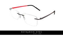 Reykjavik Eron men's gunmetal glass frames