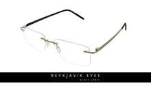 Reykjavik Eron men's gold glass frames