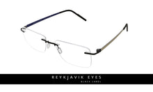 Reykjavik Eron men's black glass frames