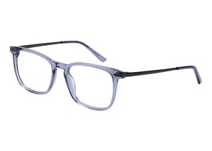 Eyecraft Recover men's grey glass frames