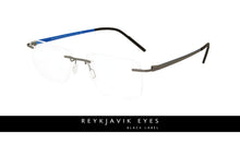 Reykjavik Ivan men&#39;s grey glass frames
